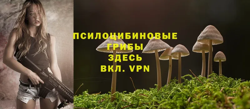 Псилоцибиновые грибы GOLDEN TEACHER  Челябинск 