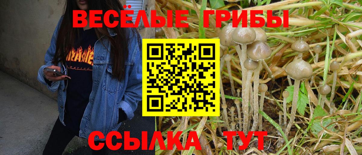 Галлюциногенные грибы прущие грибы  Галлюциногенные грибы MAGIC MUSHROOMS  Челябинск  Вход с VPN 